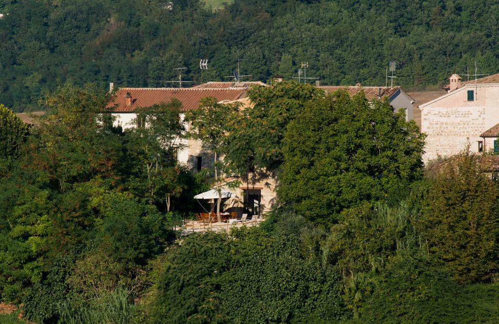 Villa Il Sogno Di Tino Cabernardi Exterior foto