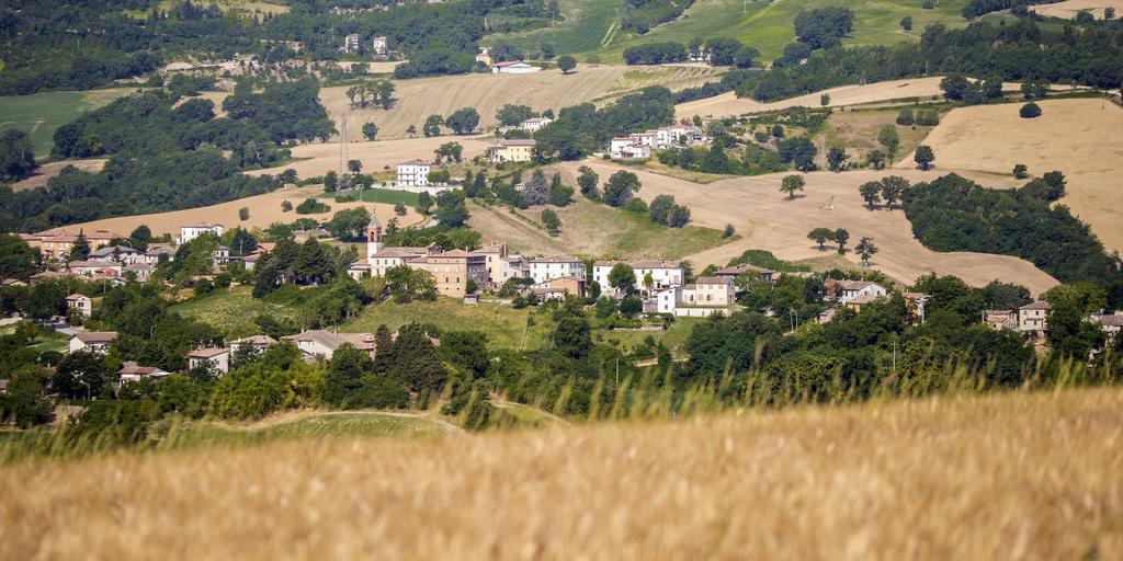 Villa Il Sogno Di Tino Cabernardi Exterior foto