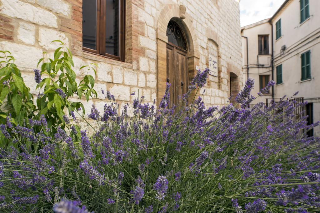 Villa Il Sogno Di Tino Cabernardi Exterior foto